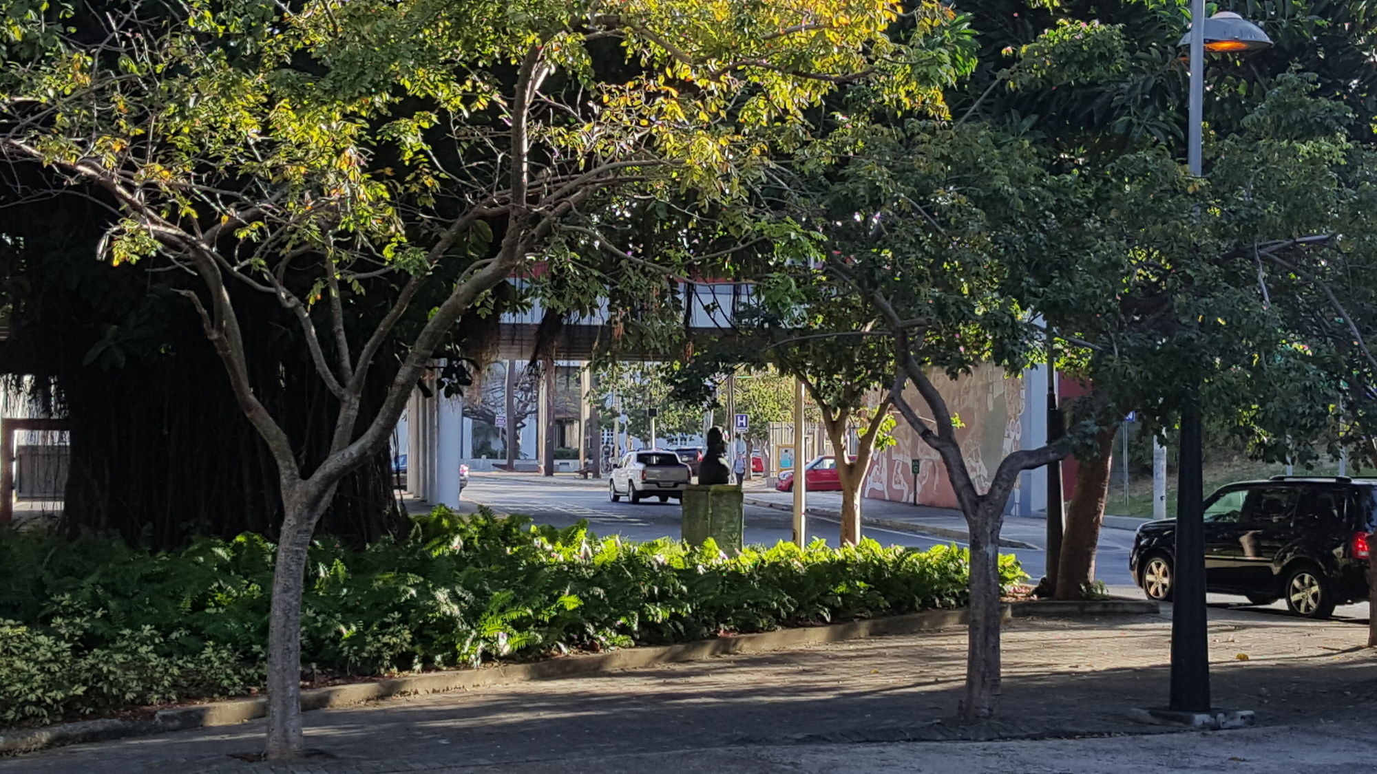 The Wave Hotel Condado San Juan Exterior foto